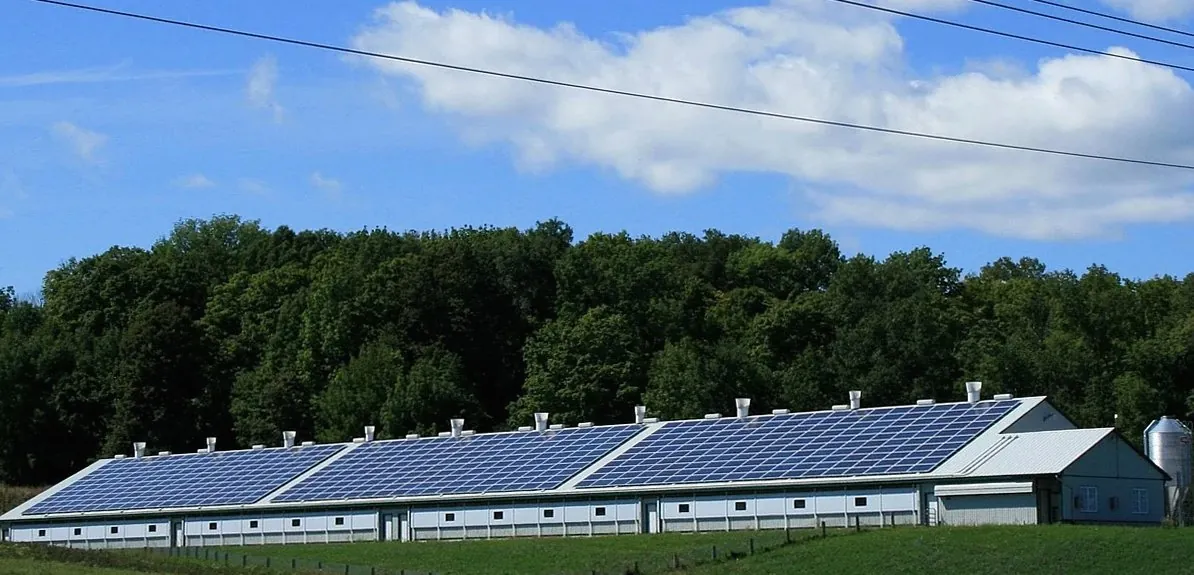 Long farm building with a roof covered in solar panels beside a line of trees (illustrative photo)